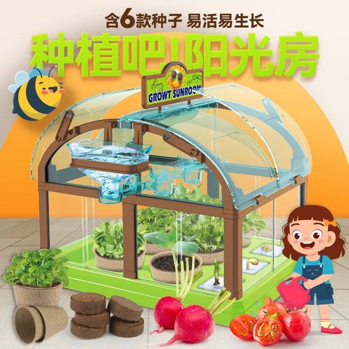leaun種植陽光房diy科學實驗玩具植物迷你花園種植套裝兒童玩具 陽光